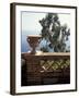 Public Garden of Taormina, Sicily, Italy-Connie Ricca-Framed Photographic Print