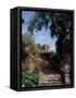Public Garden of Taormina, Sicily, Italy-Connie Ricca-Framed Stretched Canvas