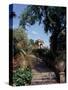 Public Garden of Taormina, Sicily, Italy-Connie Ricca-Stretched Canvas