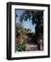 Public Garden of Taormina, Sicily, Italy-Connie Ricca-Framed Photographic Print