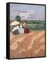 Public Gardens, Conversation-Edouard Vuillard-Framed Stretched Canvas