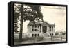 Public Library, Grand Rapids, Minnesota-null-Framed Stretched Canvas