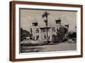 Brown Frame