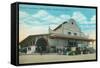 Public Market, Ciudad Juarez, Mexico-null-Framed Stretched Canvas