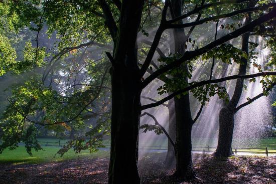 'Public Park Nature Tiergarten Central City Garden in Berlin, Germany ...