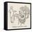 Public Speaking-William Heath Robinson-Framed Stretched Canvas