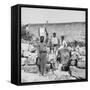 Public Spring, Matanzas, Cuba-null-Framed Stretched Canvas