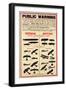 "Public Warning", Poster to Familiarise the Public with Enemy Aircraft, 1915-null-Framed Giclee Print