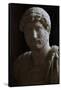 Publio Aelio Hadrian (76-138). Roman Emperor (117-138)-null-Framed Stretched Canvas