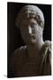 Publio Aelio Hadrian (76-138). Roman Emperor (117-138)-null-Stretched Canvas