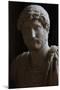 Publio Aelio Hadrian (76-138). Roman Emperor (117-138)-null-Mounted Giclee Print