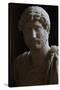 Publio Aelio Hadrian (76-138). Roman Emperor (117-138)-null-Stretched Canvas