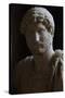 Publio Aelio Hadrian (76-138). Roman Emperor (117-138)-null-Stretched Canvas