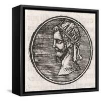 Publius L Valerianus-null-Framed Stretched Canvas