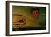 Puck Fleeing before the Dawn, 1837-David Scott-Framed Giclee Print