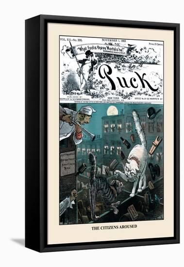 Puck Magazine: The Citizens Aroused-F. Graetz-Framed Stretched Canvas