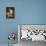 Puck's Magic Flower-Judy Mastrangelo-Giclee Print displayed on a wall