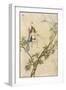 Puck Seated on a Spider's Thread-Warwick Goble-Framed Photographic Print