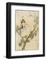 Puck Seated on a Spider's Thread-Warwick Goble-Framed Photographic Print