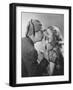 Black Frame