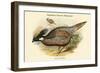 Pucrasia Nipalensis - Nepalese Pucras Pheasant-John Gould-Framed Art Print