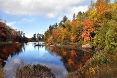 Ablaze with Color in Michigan-pudding-Photographic Print