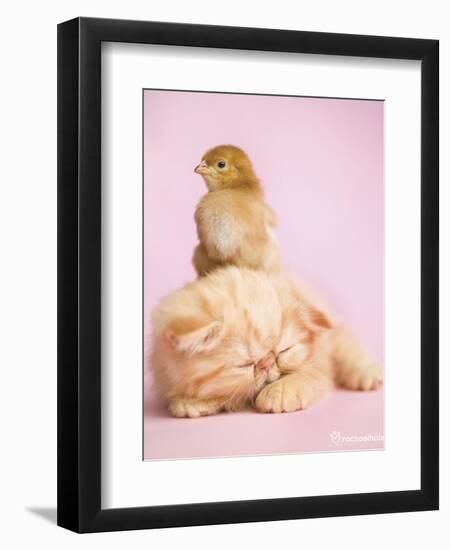 Pudding-Rachael Hale-Framed Art Print