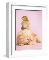 Pudding-Rachael Hale-Framed Art Print