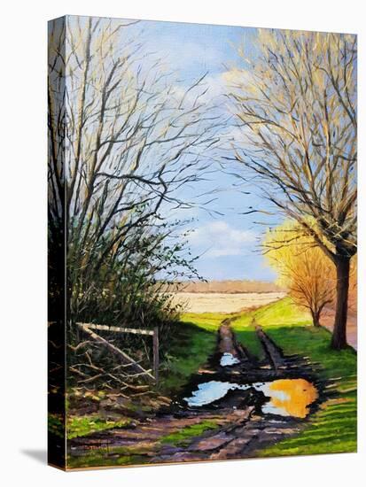 Puddle on the Path-Michel Bultet-Stretched Canvas