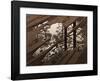 Puddle-M^ C^ Escher-Framed Art Print