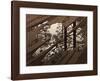 Puddle-M^ C^ Escher-Framed Art Print