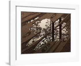 Puddle-M^ C^ Escher-Framed Art Print