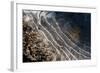 Puddles in Deep Tractor Ruts Frozen on a Cold Bright Winter Morning in January, West Berkshire-Nigel Cattlin-Framed Photographic Print