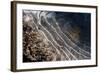 Puddles in Deep Tractor Ruts Frozen on a Cold Bright Winter Morning in January, West Berkshire-Nigel Cattlin-Framed Photographic Print