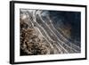 Puddles in Deep Tractor Ruts Frozen on a Cold Bright Winter Morning in January, West Berkshire-Nigel Cattlin-Framed Photographic Print