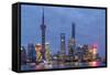 Pudong Financial District Skyline at Night, Shanghai, China, Asia-G & M Therin-Weise-Framed Stretched Canvas