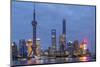 Pudong Financial District Skyline at Night, Shanghai, China, Asia-G & M Therin-Weise-Mounted Photographic Print