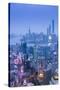 Pudong Skyline and East Nanjing Road, Shanghai, China-Jon Arnold-Stretched Canvas