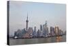 Pudong Skyline and Huangpu River, Shanghai, China-Peter Adams-Stretched Canvas