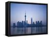 Pudong Skyline and Oriental Pearl Tower, Pudong District, Shanghai, China-Walter Bibikow-Framed Stretched Canvas