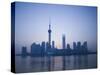 Pudong Skyline and Oriental Pearl Tower, Pudong District, Shanghai, China-Walter Bibikow-Stretched Canvas