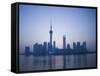 Pudong Skyline and Oriental Pearl Tower, Pudong District, Shanghai, China-Walter Bibikow-Framed Stretched Canvas