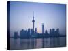 Pudong Skyline and Oriental Pearl Tower, Pudong District, Shanghai, China-Walter Bibikow-Stretched Canvas