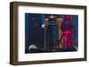 Pudong skyline dominated by Oriental Pearl TV Tower, Shanghai, China-Keren Su-Framed Photographic Print