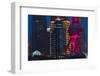 Pudong skyline dominated by Oriental Pearl TV Tower, Shanghai, China-Keren Su-Framed Photographic Print