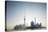 Pudong Skyline, Shanghai, China-Paul Souders-Stretched Canvas