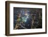 Pudong Skyline, Shanghai, China-Paul Souders-Framed Photographic Print