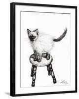 Pudsquiz Belina, 2015-Vincent Alexander Booth-Framed Giclee Print