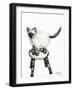 Pudsquiz Belina, 2015-Vincent Alexander Booth-Framed Premium Giclee Print