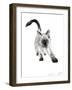 Pudsquiz Belina on the Prowl !, 2015-Vincent Alexander Booth-Framed Giclee Print